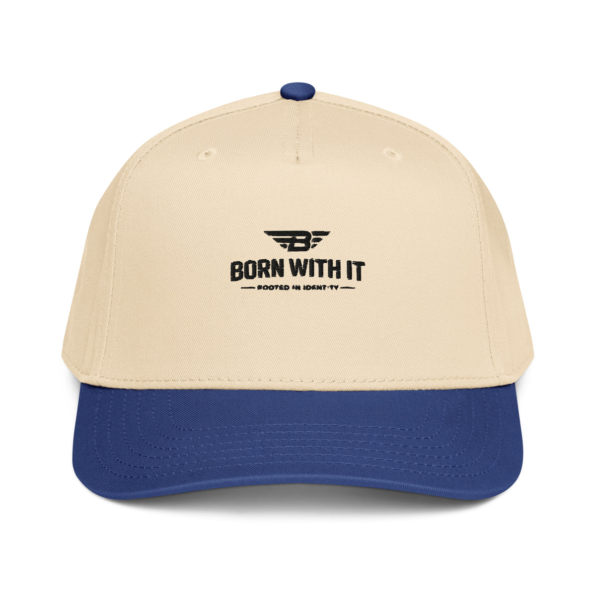 5 PANEL CAP