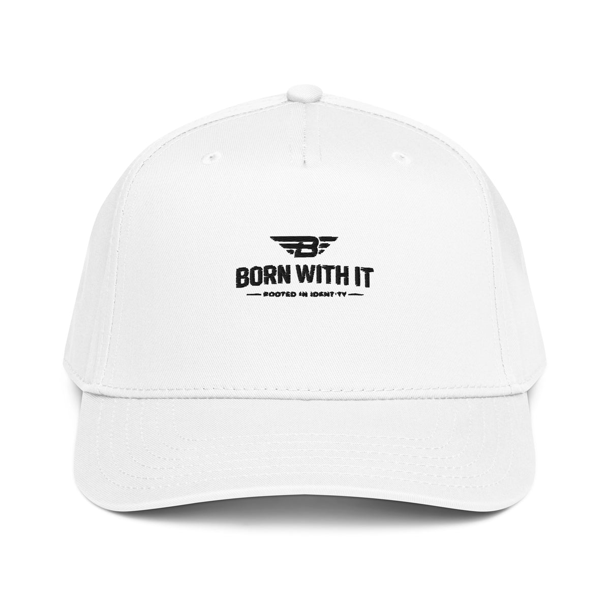 5 PANEL CAP